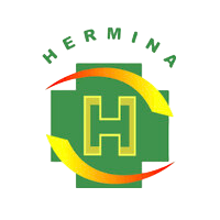 Hermina Hospital Group